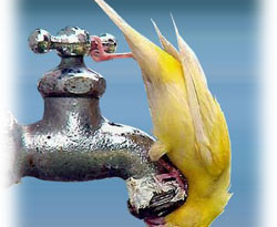 Бурение скважины на воду Троицк (Троицкий административный округ)