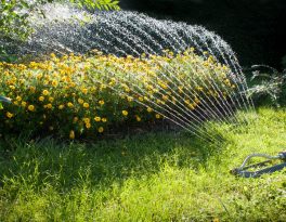 Водоснабжение дачи из скважины
