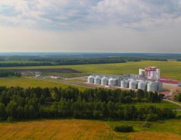 Скважина на воду деревня Ваньково (Дмитровский городской округ)