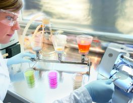 Скважина на воду село Марково (городской округ Лотошино)