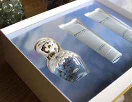 Бурение на воду село Снегирёво (Кольчугинский район)