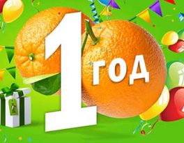 Бурение на воду село Нижнее (Жуковский район)