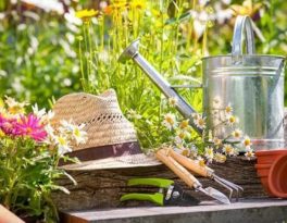 Бурение скважины на воду деревня Дровнино (Можайский городской округ)