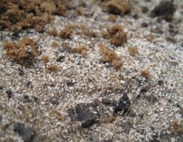 Бурение скважины на воду деревня Сапроново (Ленинский городской округ)