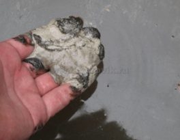 Бурение скважины на воду деревня Истомиха