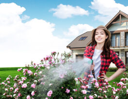 Скважина на воду  (Дмитровский городской округ)