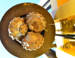 Скважина на воду деревня Дурниха (Раменский городской округ)