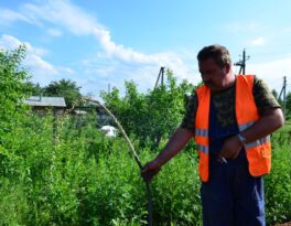 Как найти воду в земле?