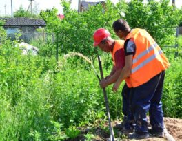 Бурение скважины на воду деревня Алексино