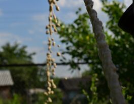 Бурение скважины на воду деревня Ульятичи (Краснинский район)