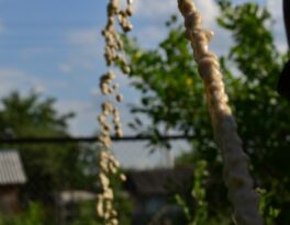 Скважина на воду садовое некоммерческое товарищество Берёзка (городской округ Люберцы)