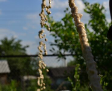 Скважина на воду садовое некоммерческое товарищество Берёзка (городской округ Люберцы)