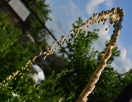 Скважина на воду деревня Никулино (городской округ Ступино)