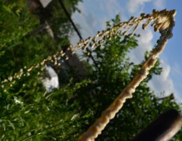 Скважина на воду садовое товарищество Васильки (Сергиево-Посадский городской округ)