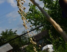 Бурение скважины на воду деревня Извозки (Гагаринский район)