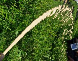 Бурение скважины на воду деревня Носово (городской округ Истра)