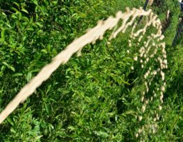 Бурение скважины на воду садовое товарищество Москвич (Сергиево-Посадский городской округ)