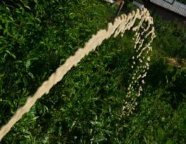 Бурение скважины на воду деревня Канищево (городской округ Ступино)