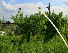 Бурение скважины на воду село Озерецкое (Дмитровский городской округ)