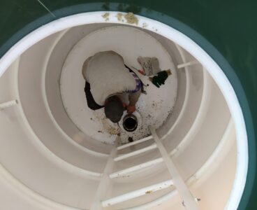 Бурение скважины на воду село Еганово (городской округ Ступино)